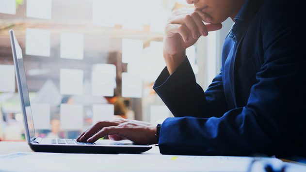 تحصیل مدیریت در هلند