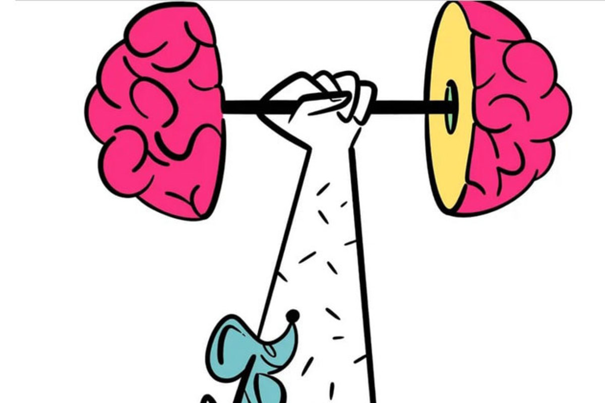 راه های تقویت حافظه راه های تقویت حافظه