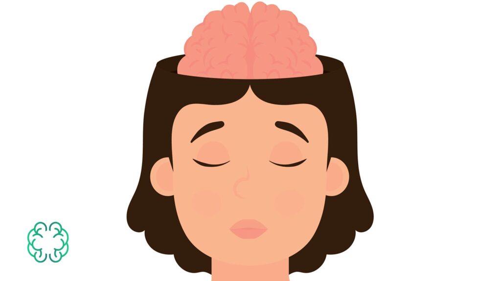 انواع استراحت انواع استراحت