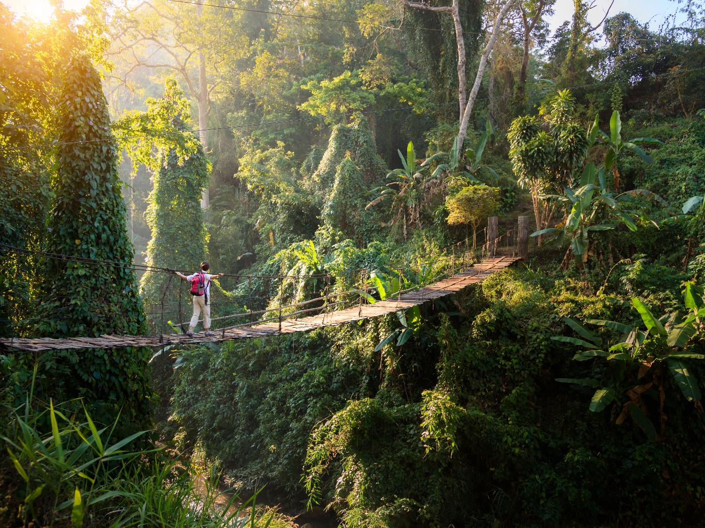 فواید سفر فواید سفر